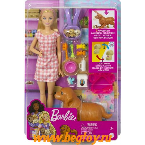 Набор Barbie с новорожденными щенками HCK75