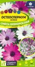 Osteospermum-jeklona-Smes-Nizkoroslaya-Semena-Altaya