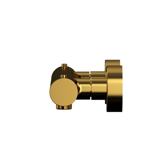 Смеситель термостатический для душа WHITECROSS Y Y1246GL золото схема 2