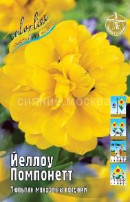 Тюльпан	Йеллоу Помпонетт (Tulipa Yellow Pompenette), МАХРОВЫЙ ПОЗДНИЙ, 11/12, 1 шт