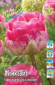 Тюльпан	Пинксайз (Tulipa Pinksize), МАХРОВЫЙ ПОЗДНИЙ, 11/12, 1 шт