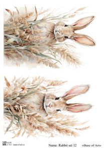 Rabbit set 12