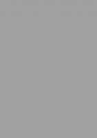 ЛДСП Серый галечный  М.419.S01  16х2800х2070 мм (матовый)