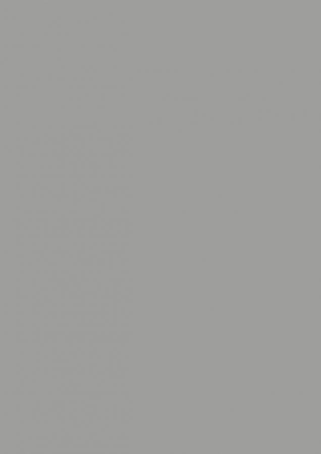 ЛДСП Серый пасмурный  М.425.S01  16х2800х2070 мм (матовый)