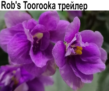 Rob's Toorooka (Робинсон)