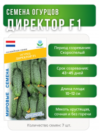 Огурец Директор F1, Мировые Семена VITA GREEN