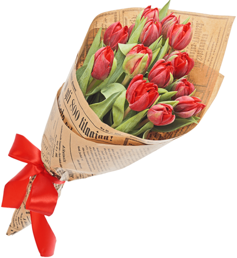 Тюльпан от 15 шт (красный)